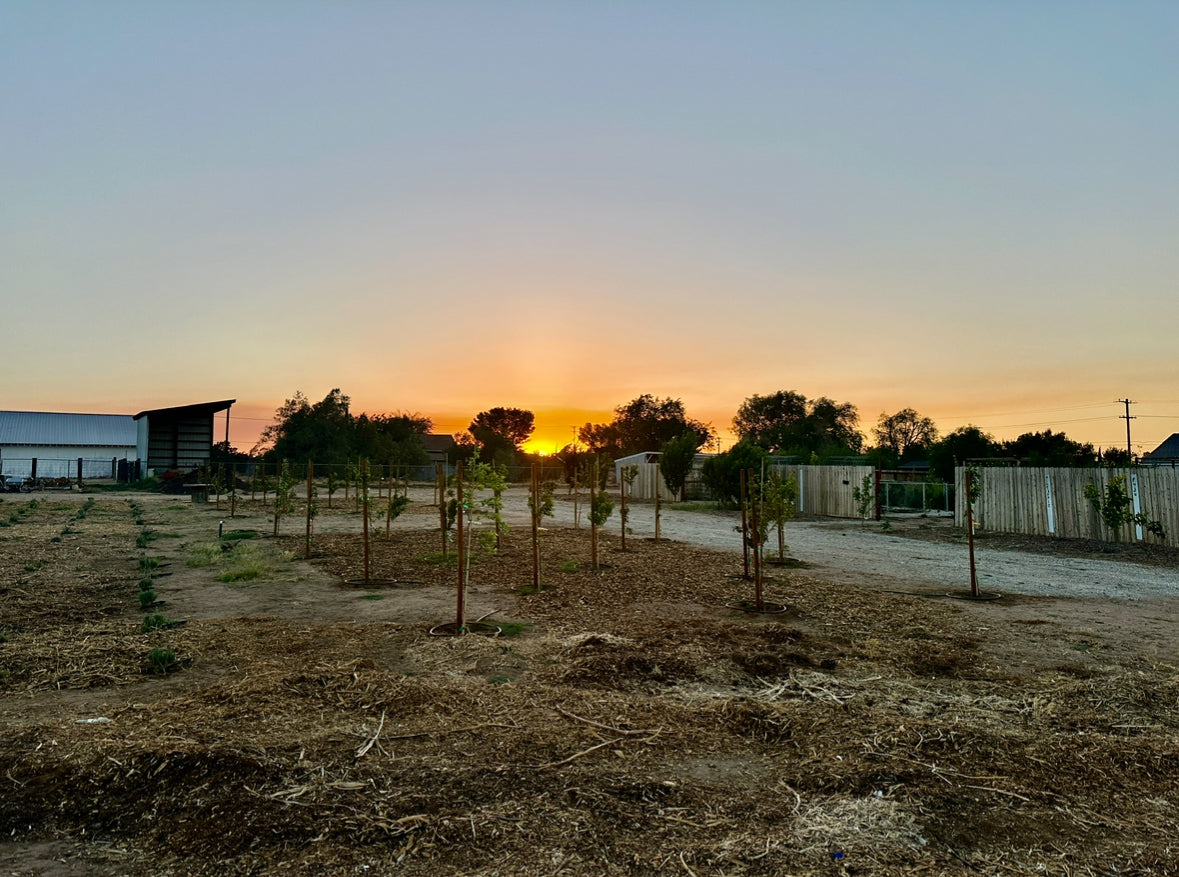 Our Farms